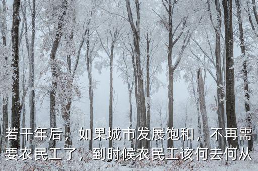 若干年后，如果城市發展飽和，不再需要農民工了，到時候農民工該何去何從