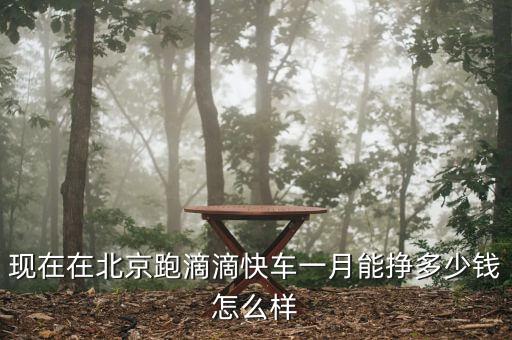 現在在北京跑滴滴快車一月能掙多少錢怎么樣