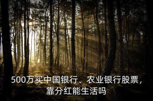 500萬(wàn)買中國(guó)銀行、農(nóng)業(yè)銀行股票，靠分紅能生活嗎