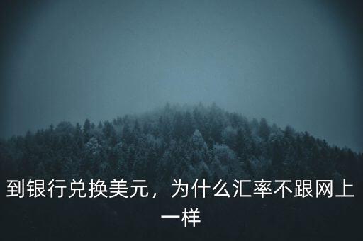 為什么各國匯率不一樣,為什么匯率不跟網上一樣
