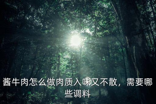 醬牛肉怎么做肉質入味又不散，需要哪些調料