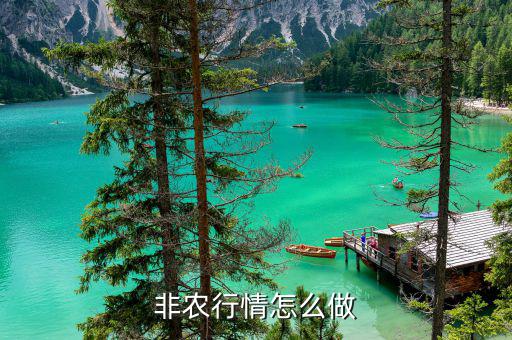 怎么做非農,黃金非農行情怎么做