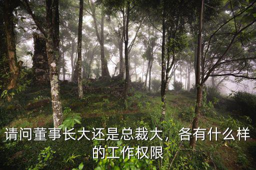 總裁和董事長有什么區別,請問董事長大還是總裁大