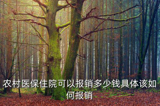 農醫保現在能報銷多少,具體該如何報銷