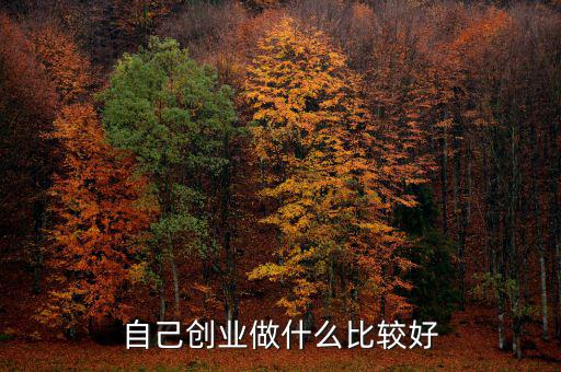 自己創業做什么比較好