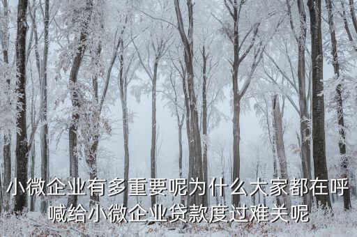 為什么小微企業,都說小微企業辦理貸款難