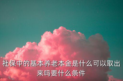 社保中的基本養老本金是什么可以取出來嗎要什么條件