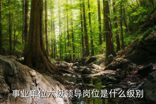 事業單位六級領導崗位是什么級別