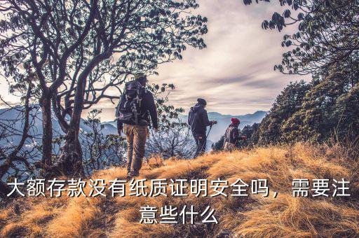 大額存款沒有紙質證明安全嗎，需要注意些什么