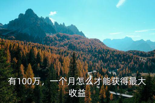 有100萬(wàn)，一個(gè)月怎么才能獲得最大收益
