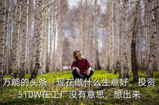 萬能的頭條，現在做什么生意好，投資510W在工廠沒有意思，想出來