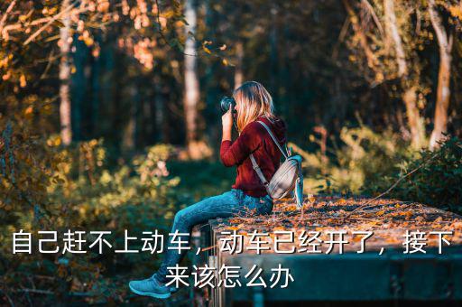 自己趕不上動車，動車已經開了，接下來該怎么辦