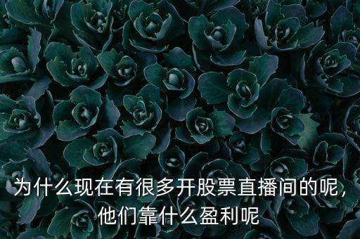 為什么現在有很多開股票直播間的呢，他們靠什么盈利呢