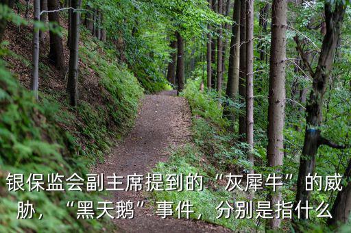 銀保監會副主席提到的“灰犀牛”的威脅，“黑天鵝”事件，分別是指什么