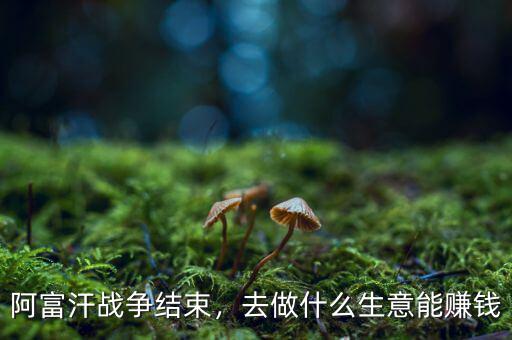 阿富汗戰爭結束，去做什么生意能賺錢