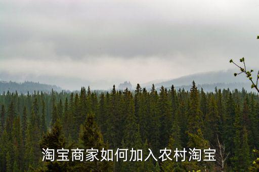 淘寶遂昌模式怎么加入,淘寶商家如何加入農村淘寶
