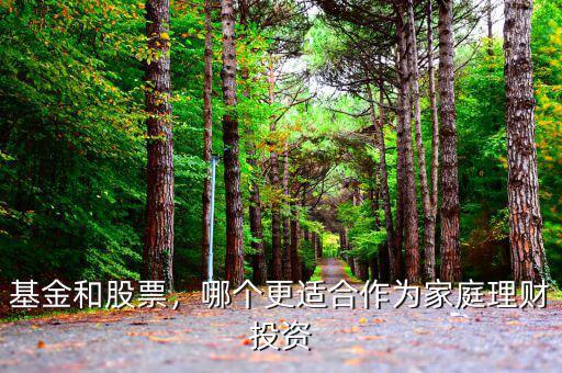 家庭理財投資什么,這兩種家庭理財的方式可取嗎