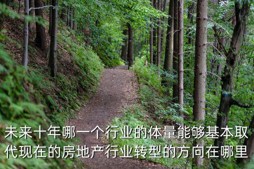 未來十年哪一個行業的體量能夠基本取代現在的房地產行業轉型的方向在哪里