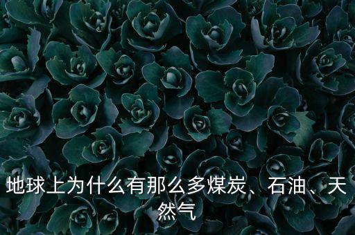 地球上為什么有那么多煤炭、石油、天然氣