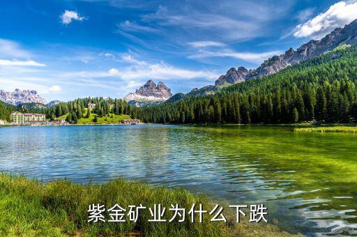 紫金礦業怎么了,紫金礦業為什么下跌
