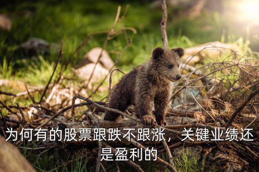為何有的股票跟跌不跟漲，關鍵業績還是盈利的