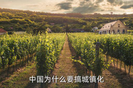 中國城鎮化是什么,中國為什么要搞城鎮化