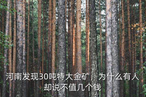 28噸黃金多少錢,河南發現30噸特大金礦