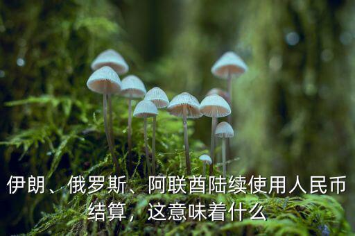 伊朗、俄羅斯、阿聯酋陸續使用人民幣結算，這意味著什么
