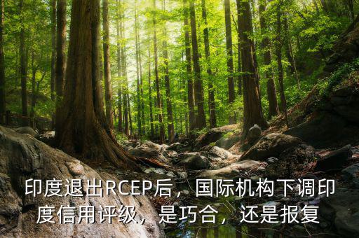 印度信用評級(jí)多少,印度退出RCEP后