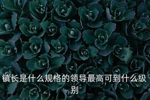 鎮長是什么規格的領導最高可到什么級別