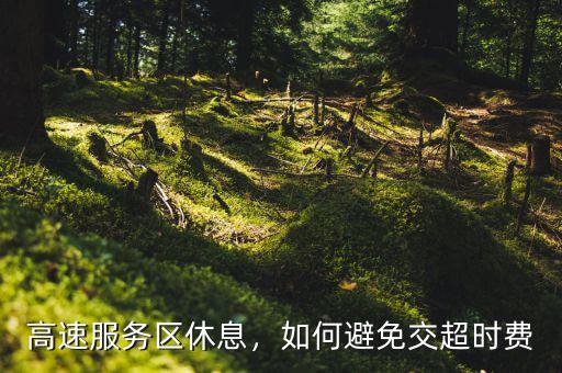 怎么避免高速超時費,高速服務區休息