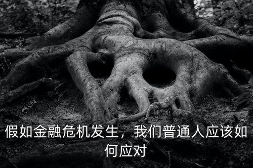 金融危機怎么辦,如果發生金融危機