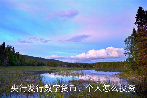 央行發行數字貨幣，個人怎么投資