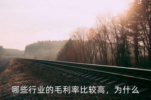 哪些行業的毛利率比較高，為什么