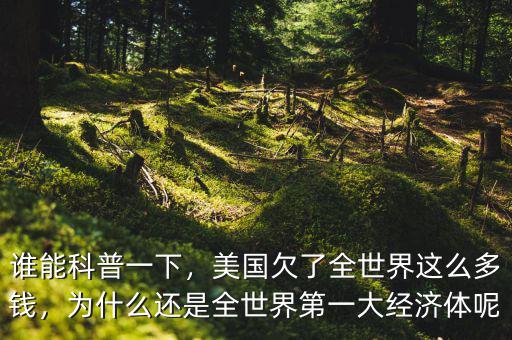 誰能科普一下，美國欠了全世界這么多錢，為什么還是全世界第一大經濟體呢