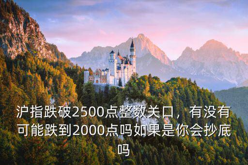 滬指跌破2500點整數關口，有沒有可能跌到2000點嗎如果是你會抄底嗎