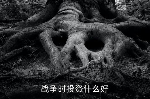 投入戰爭的投是什么意思,戰爭時投資什么好