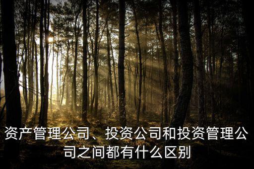 資產管理公司、投資公司和投資管理公司之間都有什么區別