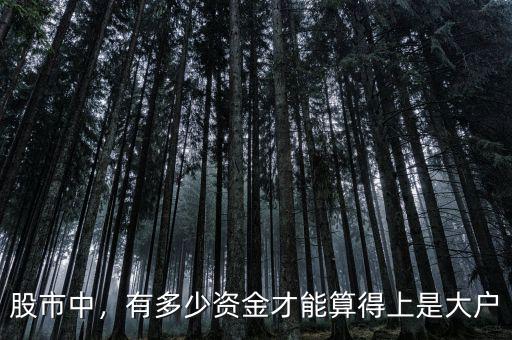 股市中，有多少資金才能算得上是大戶