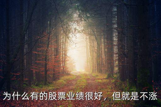 為什么有的股票業績很好，但就是不漲