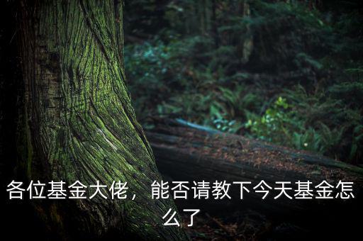今天基金怎么了,最近白酒醫藥基金怎么了