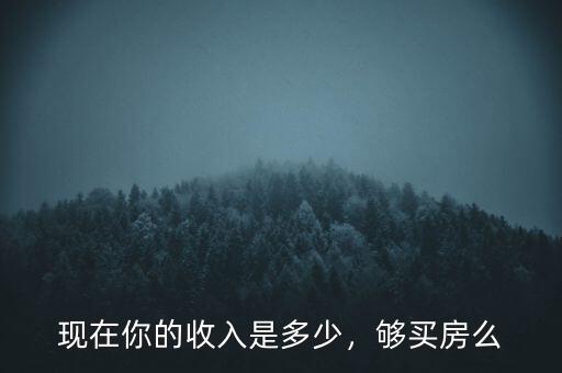 收入多少可以買房,現在你的收入是多少