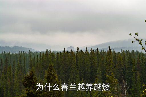 為什么春蘭越養越矮