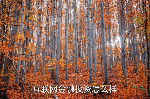 互聯網金融投資怎么樣