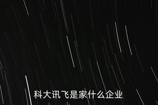 科大訊飛是家什么企業