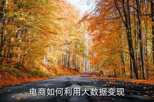 電商如何利用大數據變現