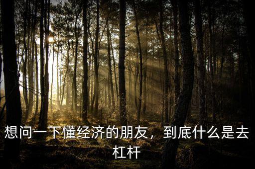 想問一下懂經濟的朋友，到底什么是去杠桿