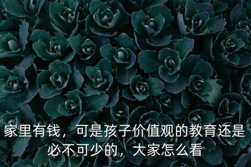 家里有錢，可是孩子價值觀的教育還是必不可少的，大家怎么看