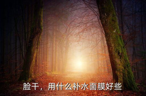 臉干，用什么補水面膜好些