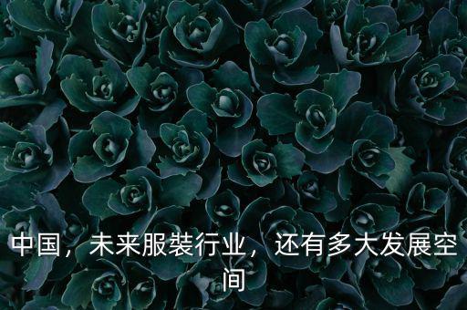 中國，未來服裝行業，還有多大發展空間